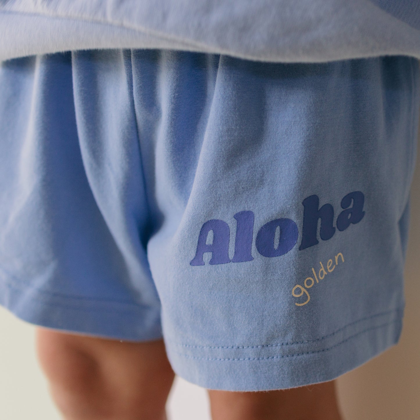 Aloha Captain Shorts Pool Blue